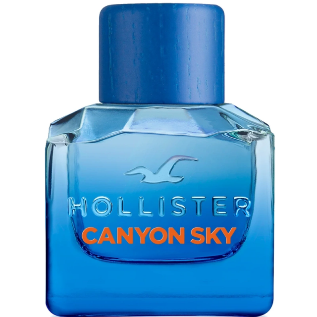 Hollister Canyon Sky for Him 100ml Eau de Toilette Spray