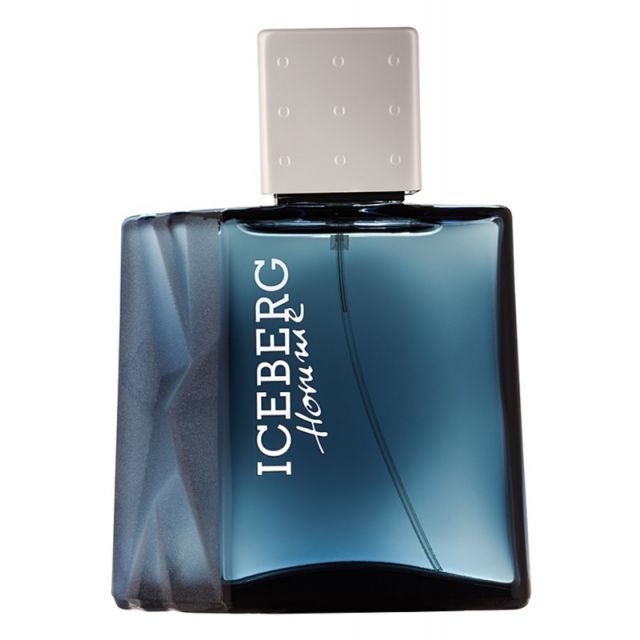 Iceberg Homme 100ml eau de toilette spray