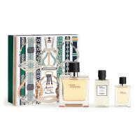 Hermès Terre d'Hermès Set 75ml parfum spray + 12.5ml edp + 40ml Aftershave Lotion 